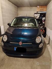 500 cult mild hibrid