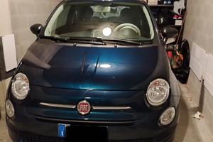 500 cult mild hibrid