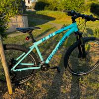 Bicicletta m.bike Bianchi