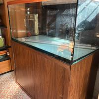 Acquario dolce/marino 800 litri