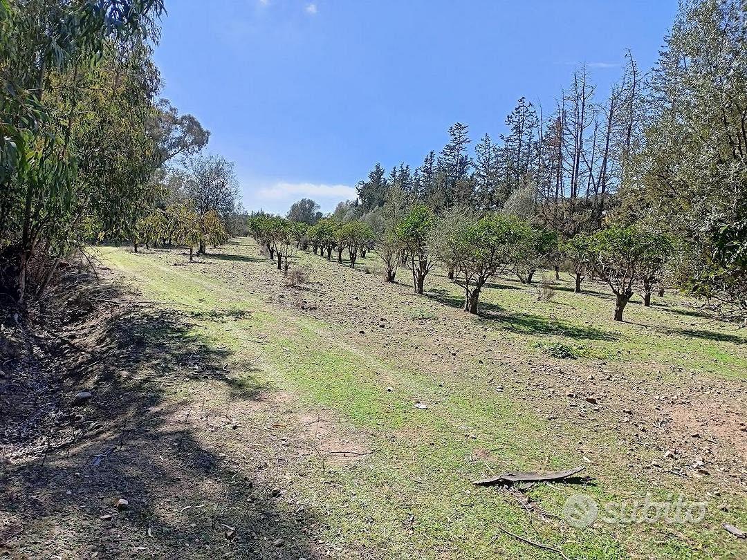 Terreno agricolo recintato di 21000 metri - Vista 4