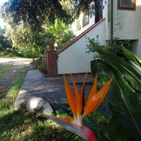 La Stanza di Campagna