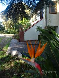 La Stanza di Campagna