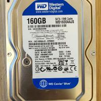 Hdd WD 160GB 3.5 Pollici