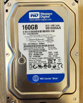 Hdd WD 160GB 3.5 Pollici