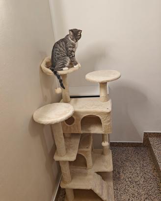 tiragraffi 140cm