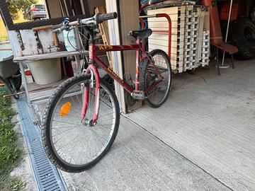Coppia biciclette