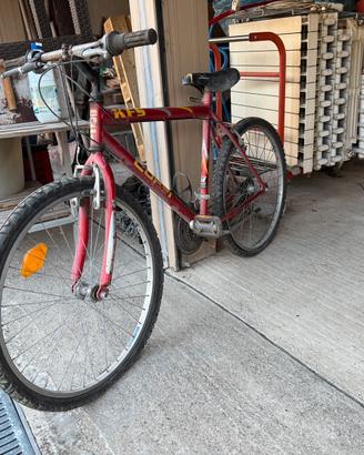 Coppia biciclette