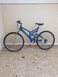 Bicicletta Vicini ragazzo/a