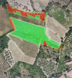 TERRENO A VIGNETO E SEMINATIVO 