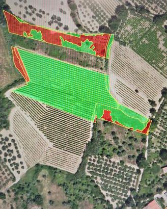 TERRENO A VIGNETO E SEMINATIVO 