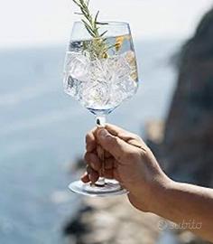 Calice esclusivo Gin mare