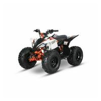 Quad Predator 110 cc 4 Tempi Automatico