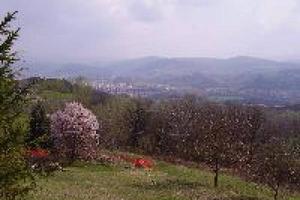 Terreno di 600 m² a Sansepolcro