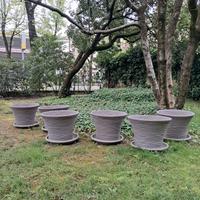 Sei vasi a campana con sottovasi