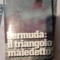 Bermuda: il triangolo maledetto