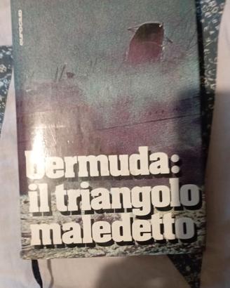 Bermuda: il triangolo maledetto