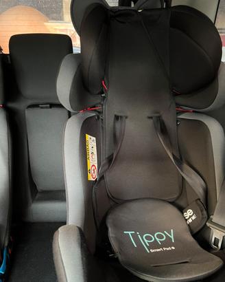 Due Seggiolini Auto fino A 36 Kg, Con Cintura Auto