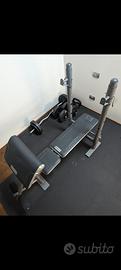 panda palestra