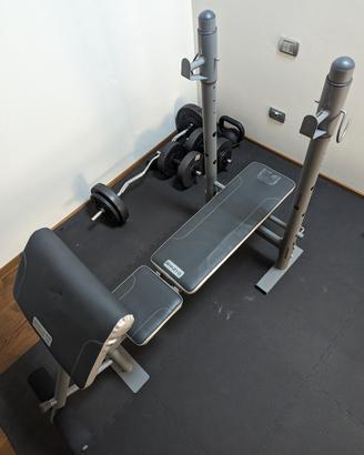 panda palestra