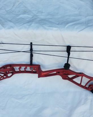 Arco compound Elite Ekelon 37 50-60#