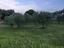 Immagine 21