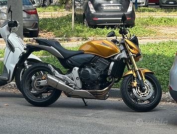 Honda Hornet