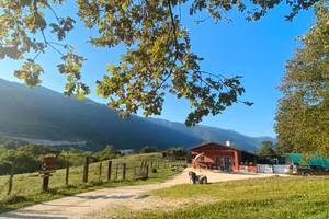Tenuta Agricola 3,7h con Potenziale Residenziale
