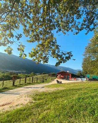 Tenuta Agricola 3,7h con Potenziale Residenziale