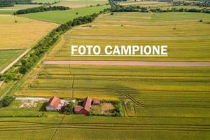 Terreno di 13500 m² a Agugliaro