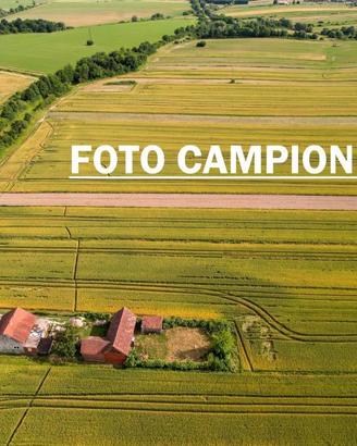 Terreno di 13500 m² a Agugliaro