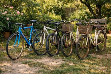 5 biciclette – disponibili anche singolarmente 
