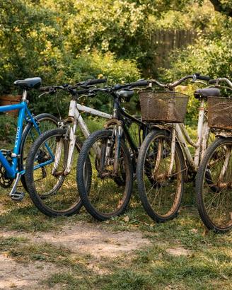 5 biciclette – disponibili anche singolarmente 