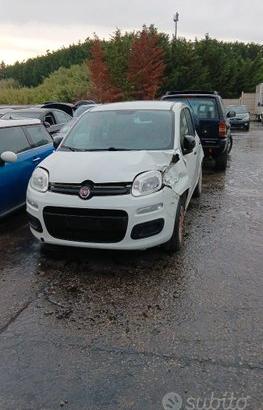 Fiat Panda 2017 1.2 8v Benzina