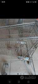 Carrello spesa tipo supermercati 