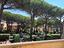 Immagine 18