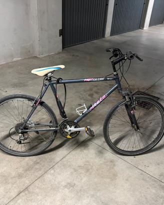Bici atala 26