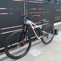 Bici enduro