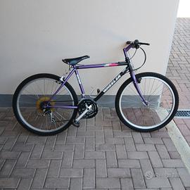  bicicletta wheeler