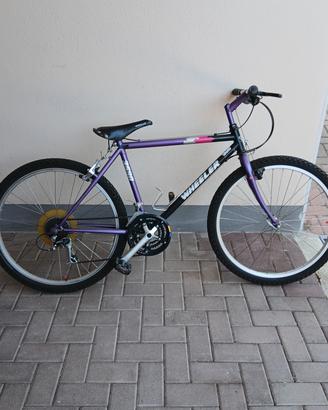  bicicletta wheeler
