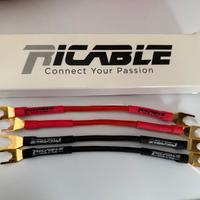 Ponticelli Ricable Dedalus Bridge