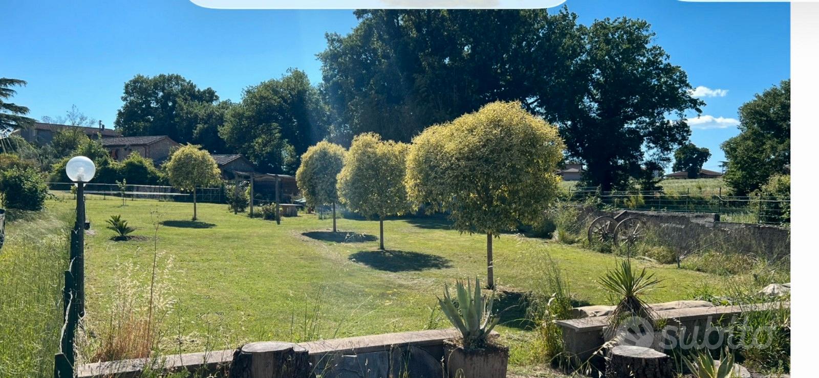 Appartamento nel verde - Vista 4
