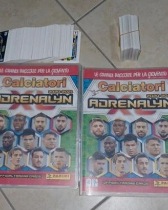 ALBUM ADRENALYN 2019 2020 2020 2021