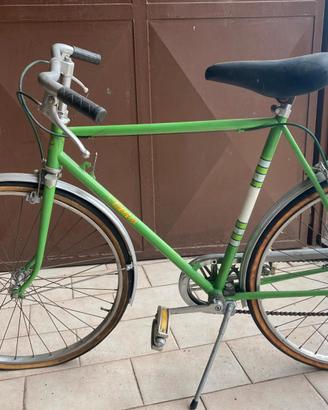 Aquila bicicletta 