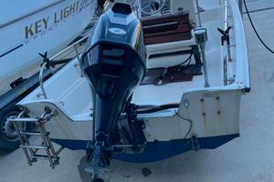 BOSTON WHALER 17