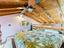 Immagine 21