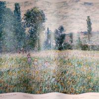 Poster dipinto "Prato", di Monet