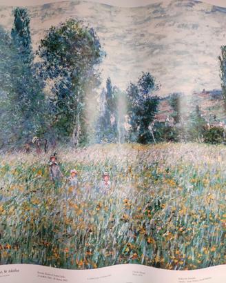 Poster dipinto "Prato", di Monet