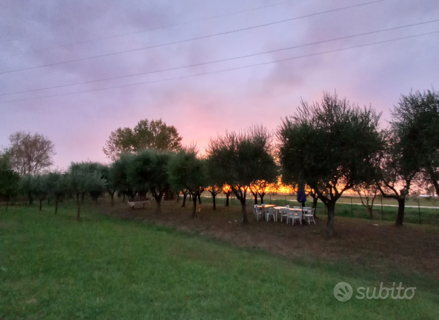 Terreno nel Com di San Giuliano Terme