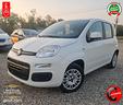 fiat-panda-1-2-2019-gpl-da-79-mese
